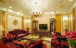 家庭背景音樂系統(tǒng)會(huì)客廳